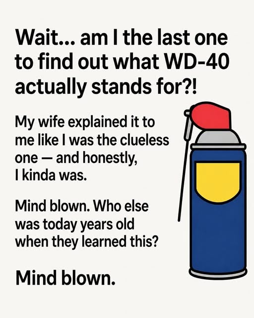 What Does WD-40 Really Mean? The Surprising Story Behind the Famous Name