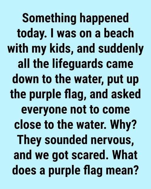 The Meaning Behind Purple Beach Flags and Why They Matter for Your Safety