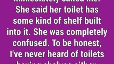 Why Some Toilets Have an Unusual Design: The Practical Reason Behind the Difference