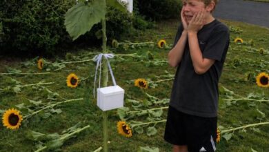Every Year My Son Planted Sunflowers for His Twin Sister, Then One Unexpected Discovery Changed Everything