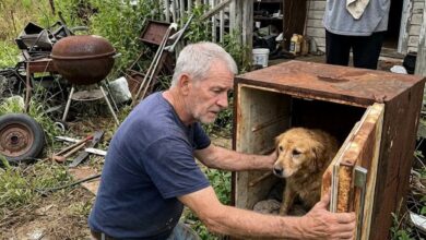 How Rescuing a Dog From an Abandoned Home Helped Me Find Hope Again