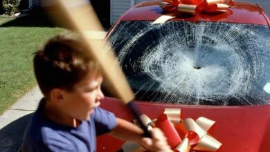 My Sister’s Actions Damaged My New Car, but an Unexpected Financial Truth Changed Everything