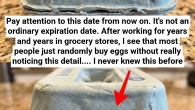 The Hidden Meaning Behind the Numbers on Your Egg Carton and Why They Matter