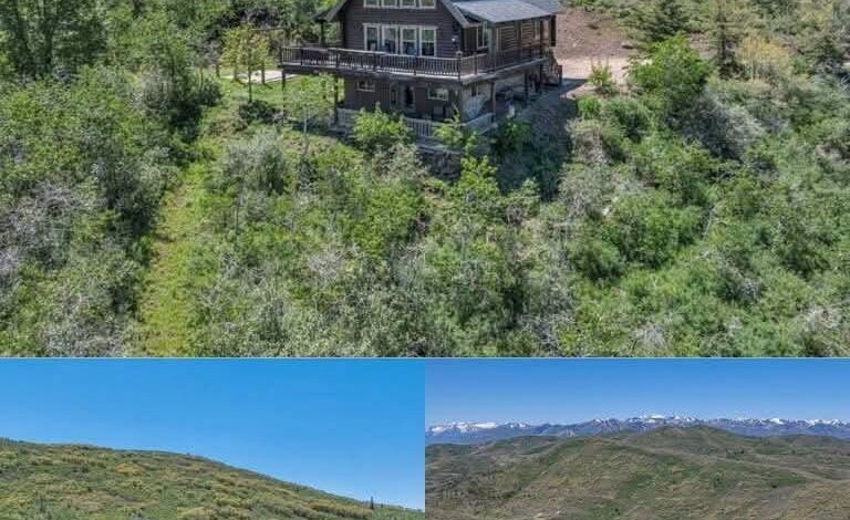 Hidden Mountain Cabin in Utah Offers the Perfect Private Retreat Surrounded by Nature