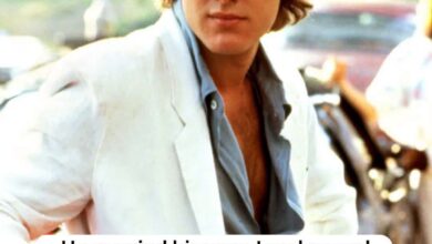 James Spader’s Remarkable Career: The Actor Who Built a Lasting Legacy While Keeping His Life Private