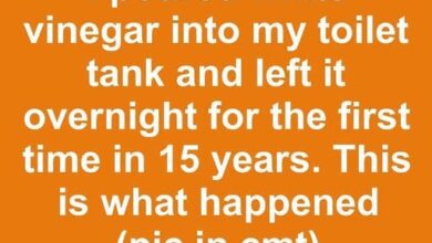 I Added White Vinegar to My Toilet Tank Overnight After 15 Years — The Result Surprised Me