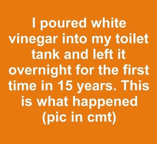 I Added White Vinegar to My Toilet Tank Overnight After 15 Years — The Result Surprised Me I Added White Vinegar to My Toilet Tank Overnight After 15 Years — The Result Surprised Me