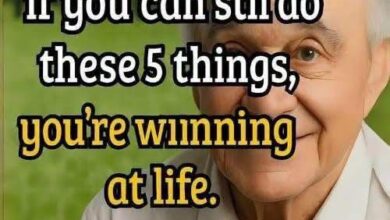 The Quiet Signs of a Beautiful Life After 70 That Many People Overlook