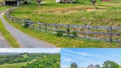 Charming Creekside Mini Farm in Virginia Offers a Peaceful Rural Escape