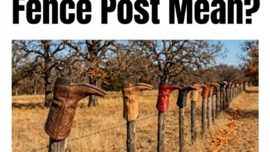 The Hidden Meaning Behind a Boot on a Fence Post That Many People Never Notice