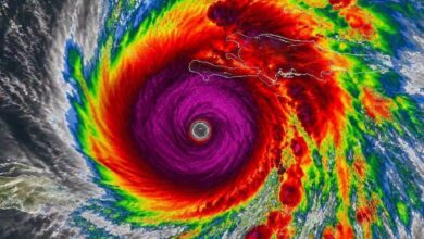 Storms, Challenges, and Hope: Stories of Resilience From Around the World