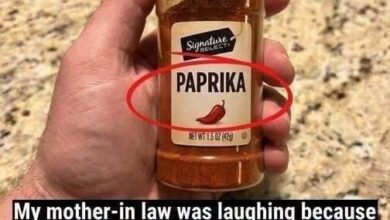 The Surprising Truth About Paprika and How This Popular Spice Is Made