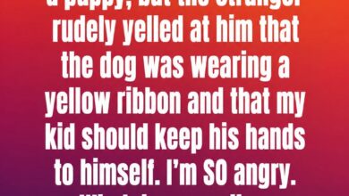 The Meaning Behind a Yellow Ribbon on a Dog Collar and Why It Matters
