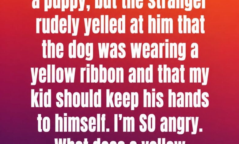 The Meaning Behind a Yellow Ribbon on a Dog Collar and Why It Matters
