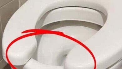 The Hidden Reason Public Toilet Seats Have an Open Front Design
