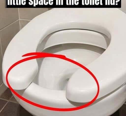 The Hidden Reason Public Toilet Seats Have an Open Front Design