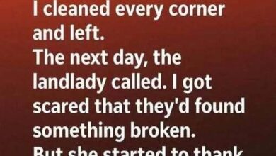 An Unexpected Visit From My Landlady Led to a Life-Changing Surprise