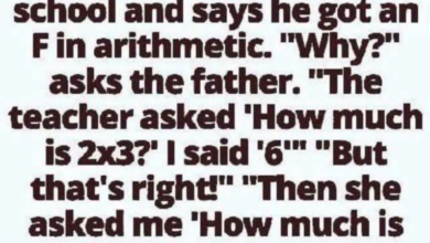 Little Boy Surprises His Father With a Powerful Lesson From Math Class