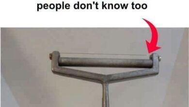 The Forgotten Kitchen Tool Many People Don’t Recognize — A Simple Design That Once Made Life Easier