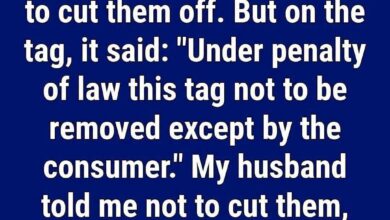 The Truth Behind Pillow Tags: Can You Legally Cut Them Off?