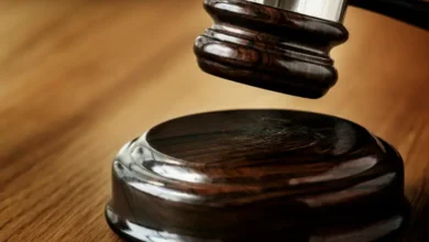 My Parents Filed a Lawsuit Against Me, But One Question in Court Revealed the Truth