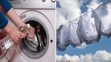 Why Light Spots Can Appear on Underwear: The Natural Science Behind a Common Occurrence