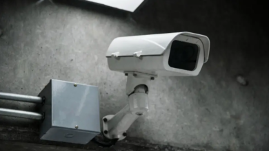 My Parents Let My Brother Move Into My House, but My Security Camera Revealed the Truth