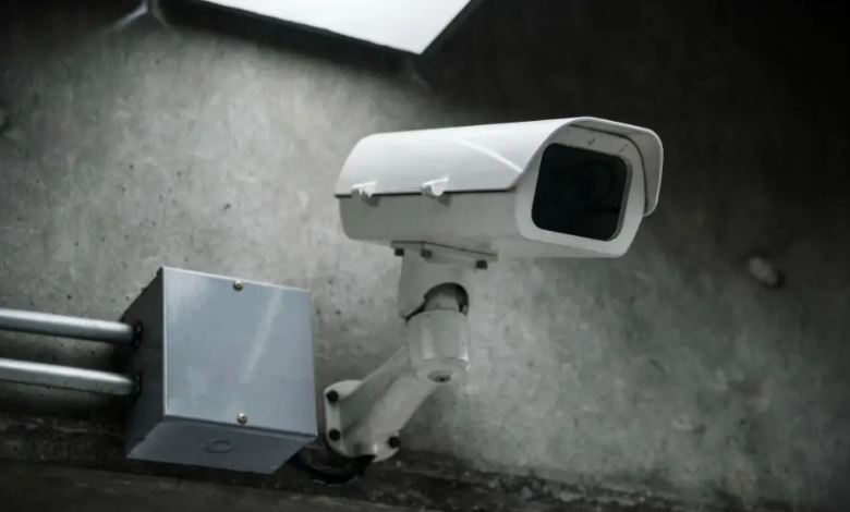 My Parents Let My Brother Move Into My House, but My Security Camera Revealed the Truth