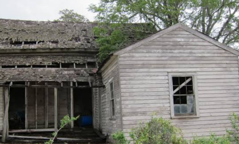 The Hidden Attic Box That Revealed a Family Secret Kept for Decades The Hidden Attic Box That Revealed a Family Secret Kept for Decades