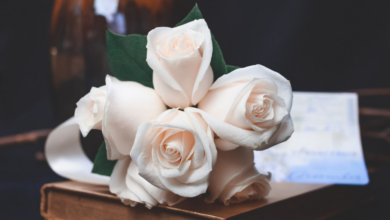 The Family Secret That Changed Everything When a Daughter’s Will Was Revealed