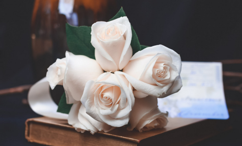 The Family Secret That Changed Everything When a Daughter’s Will Was Revealed