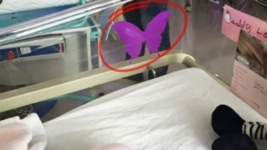 Why Some Parents Place Purple Butterfly Stickers Near Babies