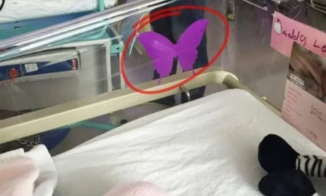 Why Some Parents Place Purple Butterfly Stickers Near Babies