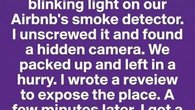 I Found Something Unexpected in Our Vacation Rental — Then the Host’s Response Changed Everything