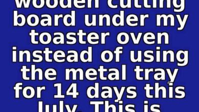 I Used a Wooden Cutting Board Under My Toaster Oven for 14 Days — Here’s What I Learned