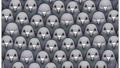 What You Notice First May Reveal How Your Mind Processes the World Around You