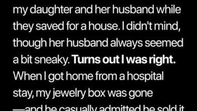 My Son-in-Law Sold My Jewelry While I Was in the Hospital — Then the Truth Came Out