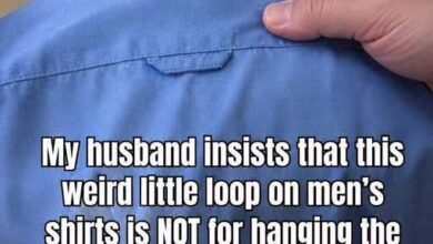 The Hidden Purpose Behind the Small Loop on the Back of Your Shirt