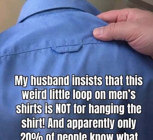 The Hidden Purpose Behind the Small Loop on the Back of Your Shirt The Hidden Purpose Behind the Small Loop on the Back of Your Shirt