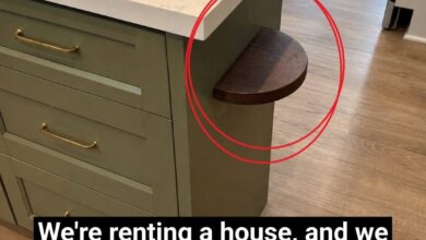 What Is a Kitchen Island Shelf Used For? Practical Uses You May Not Have Considered
