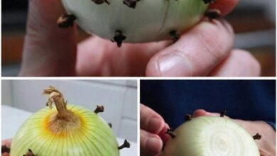 The Traditional Reason People Stick Cloves Into an Onion — And Why It Still Works Today