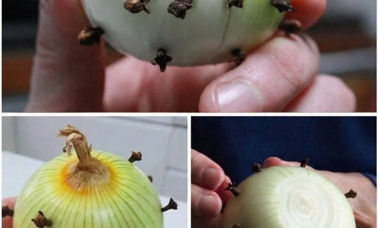 The Traditional Reason People Stick Cloves Into an Onion — And Why It Still Works Today The Traditional Reason People Stick Cloves Into an Onion — And Why It Still Works Today