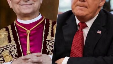 A Brief Remark From Pope Leo XIV Sparked a Worldwide Conversation