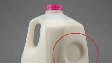 Why Milk Jugs Have That Small Dent — And What It’s Designed to Do