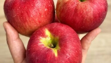 The Benefits of Eating Apples Regularly: What Research Suggests