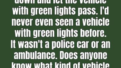 The Meaning Behind Green Lights on Certain Vehicles