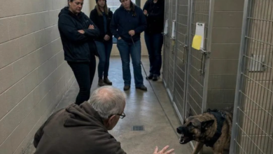 No One Could Calm the Military Dog — Until One Man Changed Everything No One Could Calm the Military Dog — Until One Man Changed Everything