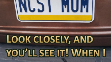 A Nevada License Plate Sparked a Conversation About the State’s Rapid Growth