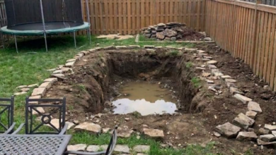 After My Neighbor’s Birthday Party, I Found a Secret Hidden Beneath My Lawn