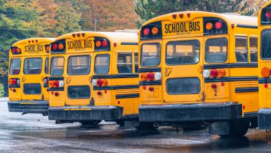 I Noticed a Child on a School Bus Asking for Help — What Happened Next Changed Everything